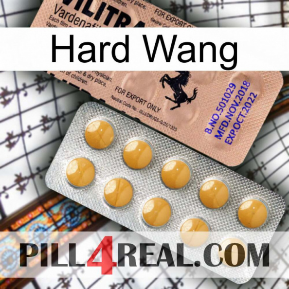 Hard Wang 41.jpg